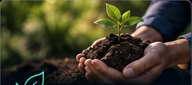 Bioremediación
